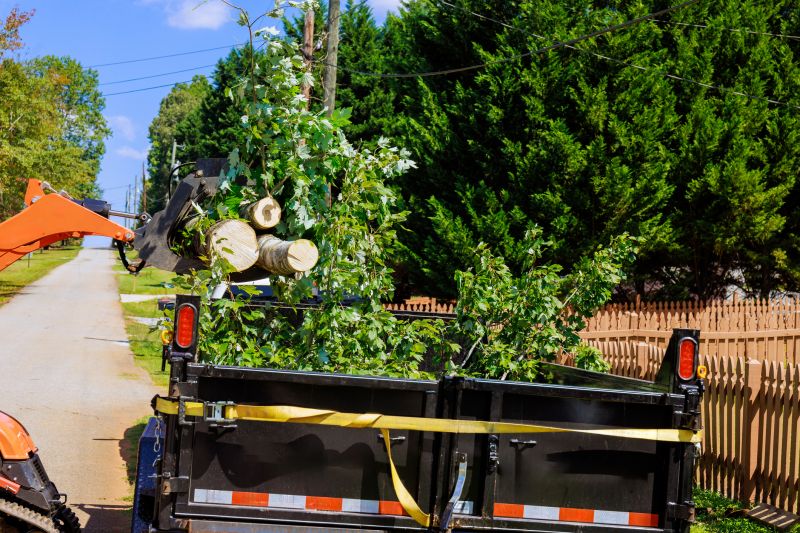 Cost of Tree Limbs Removal in Mount Juliet, TN