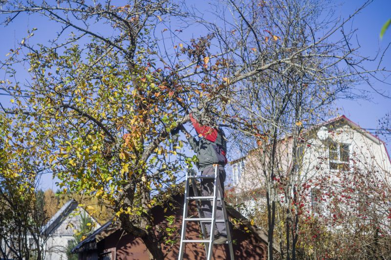 Cost of Tree Maintenance Service in Mount Juliet, TN