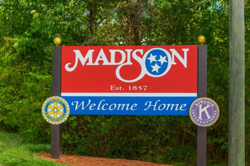 Tree Service in Madison, TN
