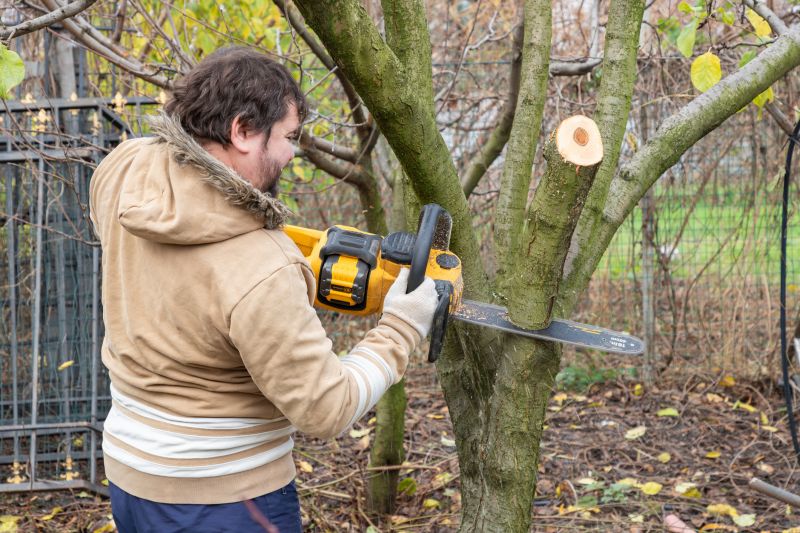 Cost of Tree Trimming Service in Mount Juliet, TN