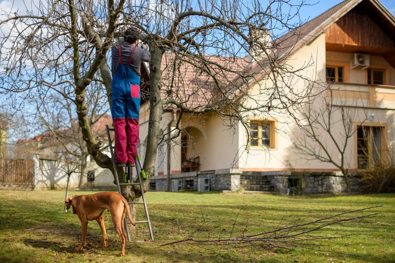 Tree Trimming Services Info