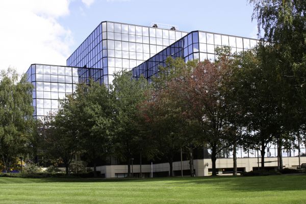 Commercial Tree Trimming in Mount Juliet