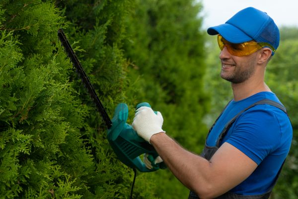 Tree Shaping Service in Mount Juliet