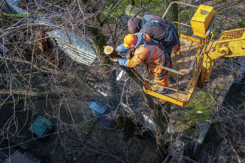 Commercial Tree Service