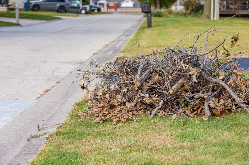 Dead Branch Removal