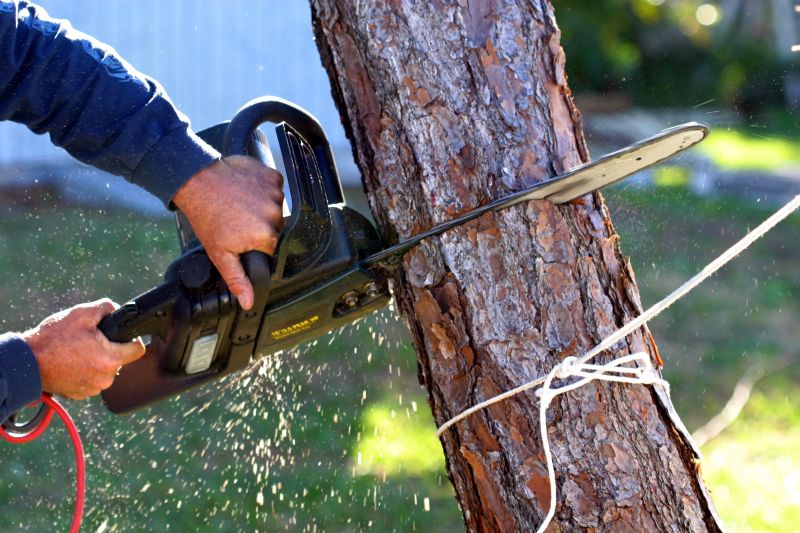 Deadwood Removal