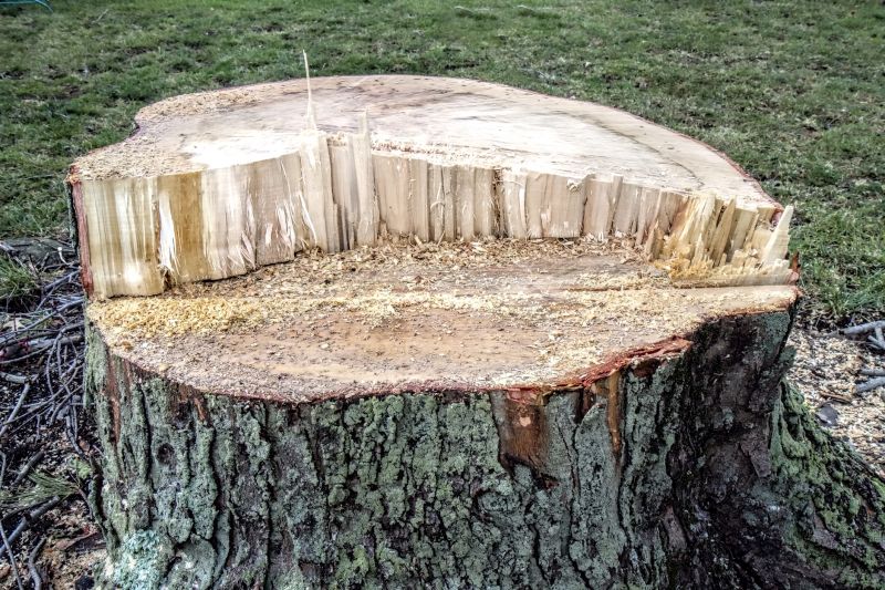Deadwood Removal