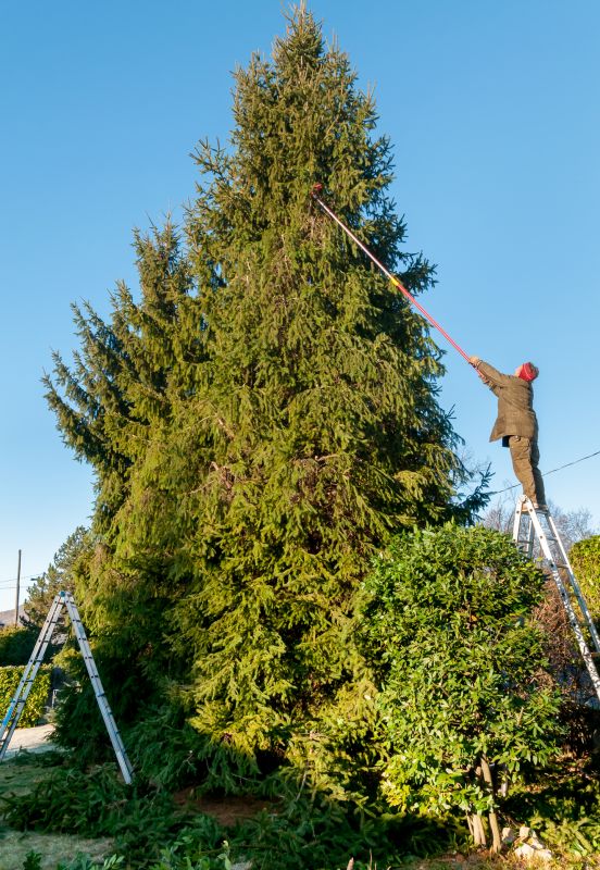 Emergency Tree Trimming