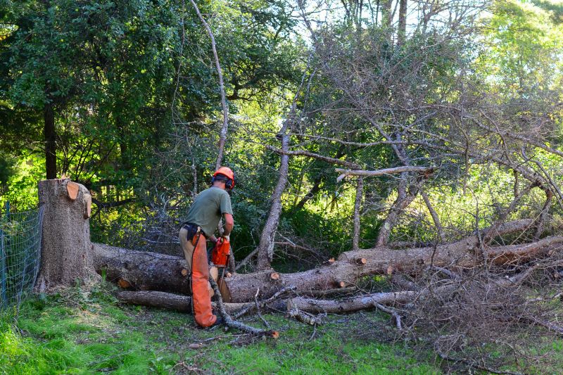Commercial Tree Service detail