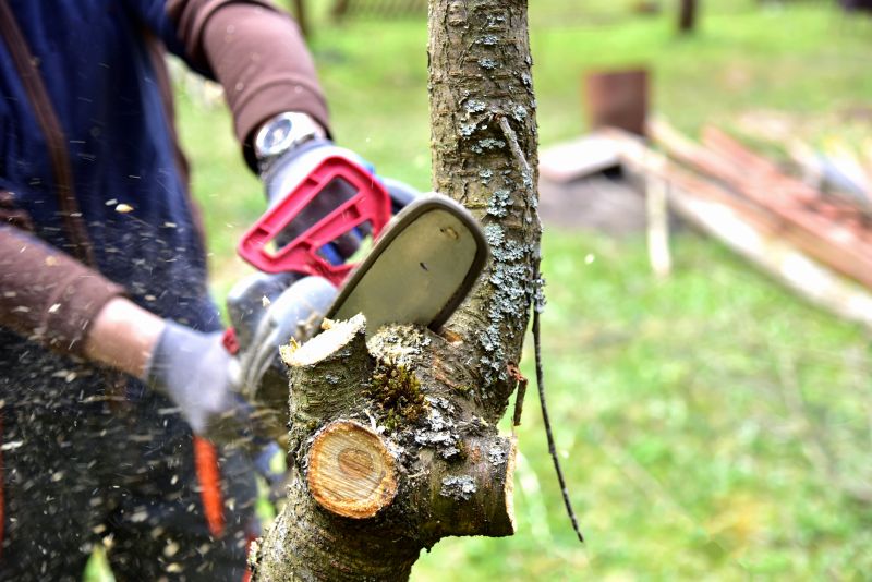 Limbs Trimming