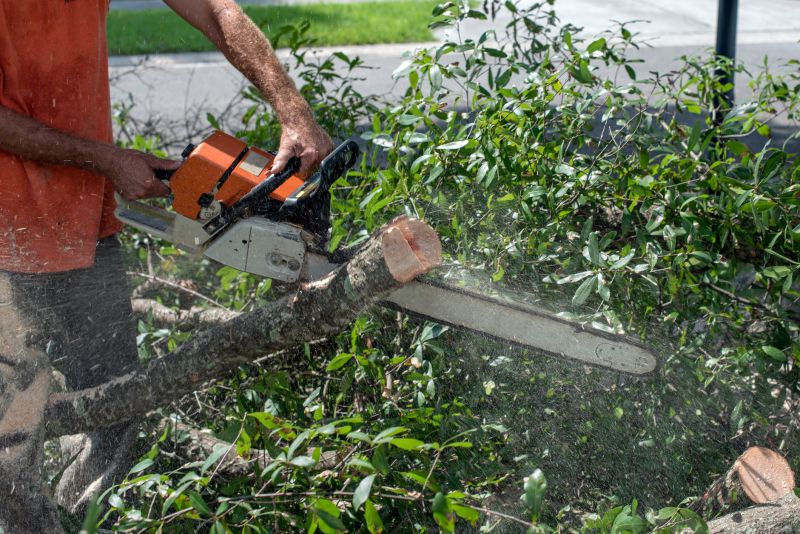 Tree Shearing