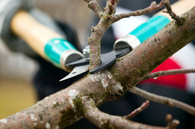 Tree Shearing
