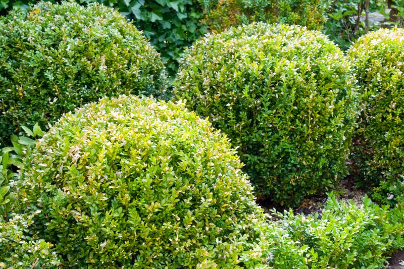 Landscape Enhancement