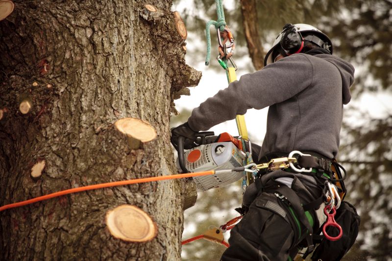 Safe Tree Pruning Equipment